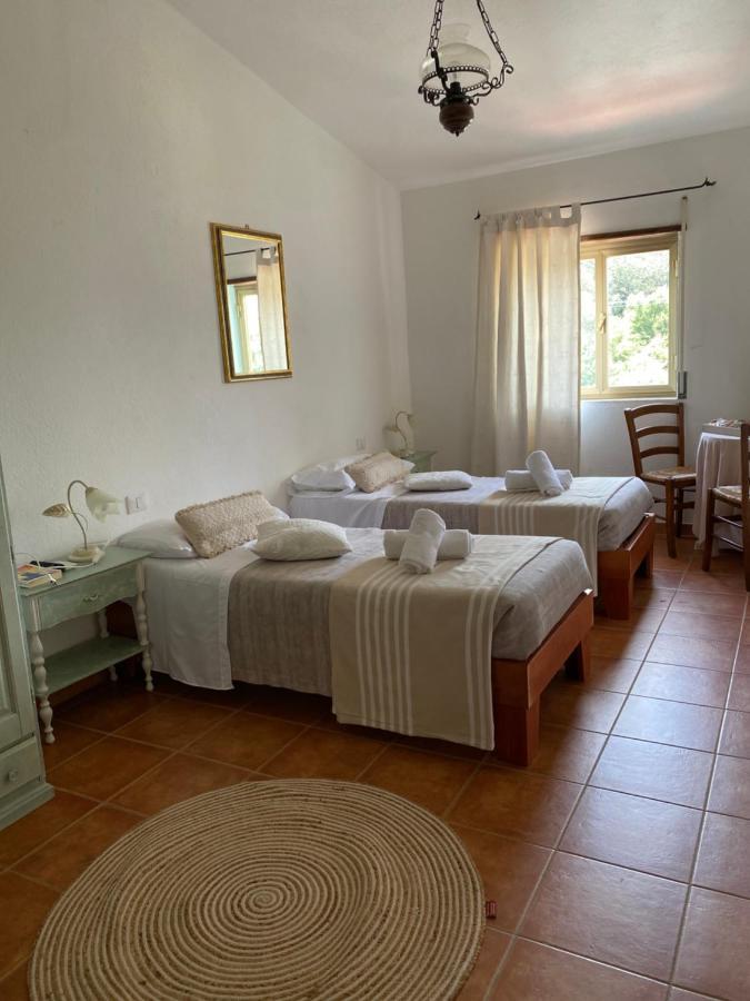 B&B La Pitraia Sant'Antonio di Gallura Eksteriør bilde