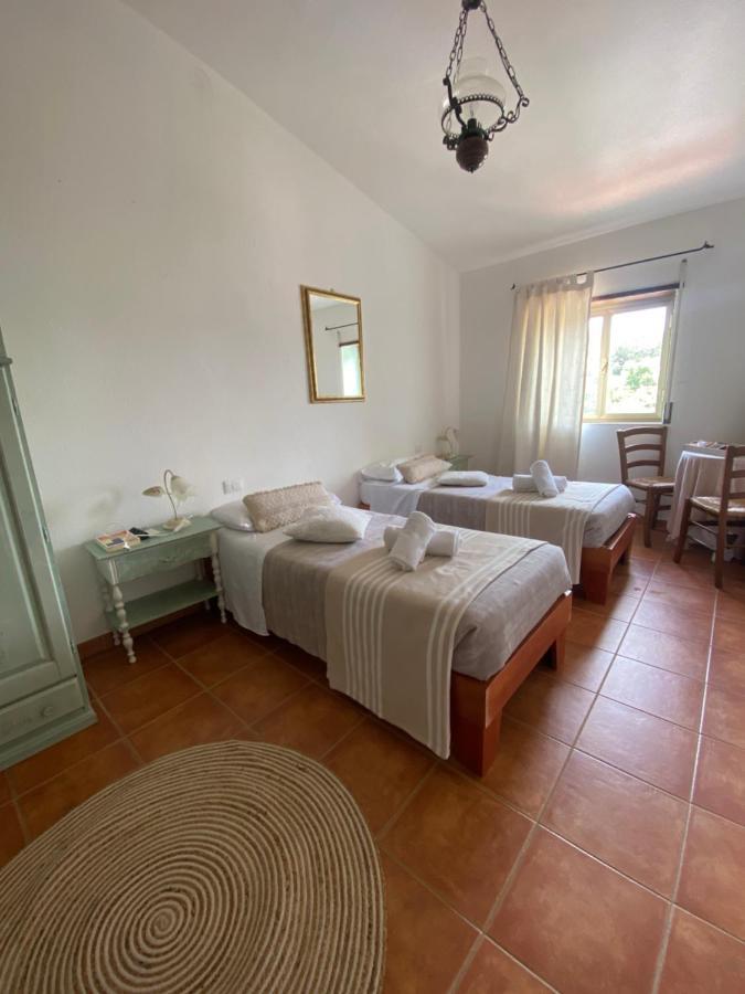 B&B La Pitraia Sant'Antonio di Gallura Eksteriør bilde